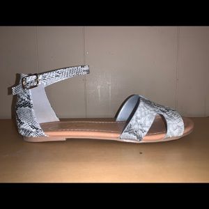 CCOCCI  Grey Snakeskin Poppy Style 6.5